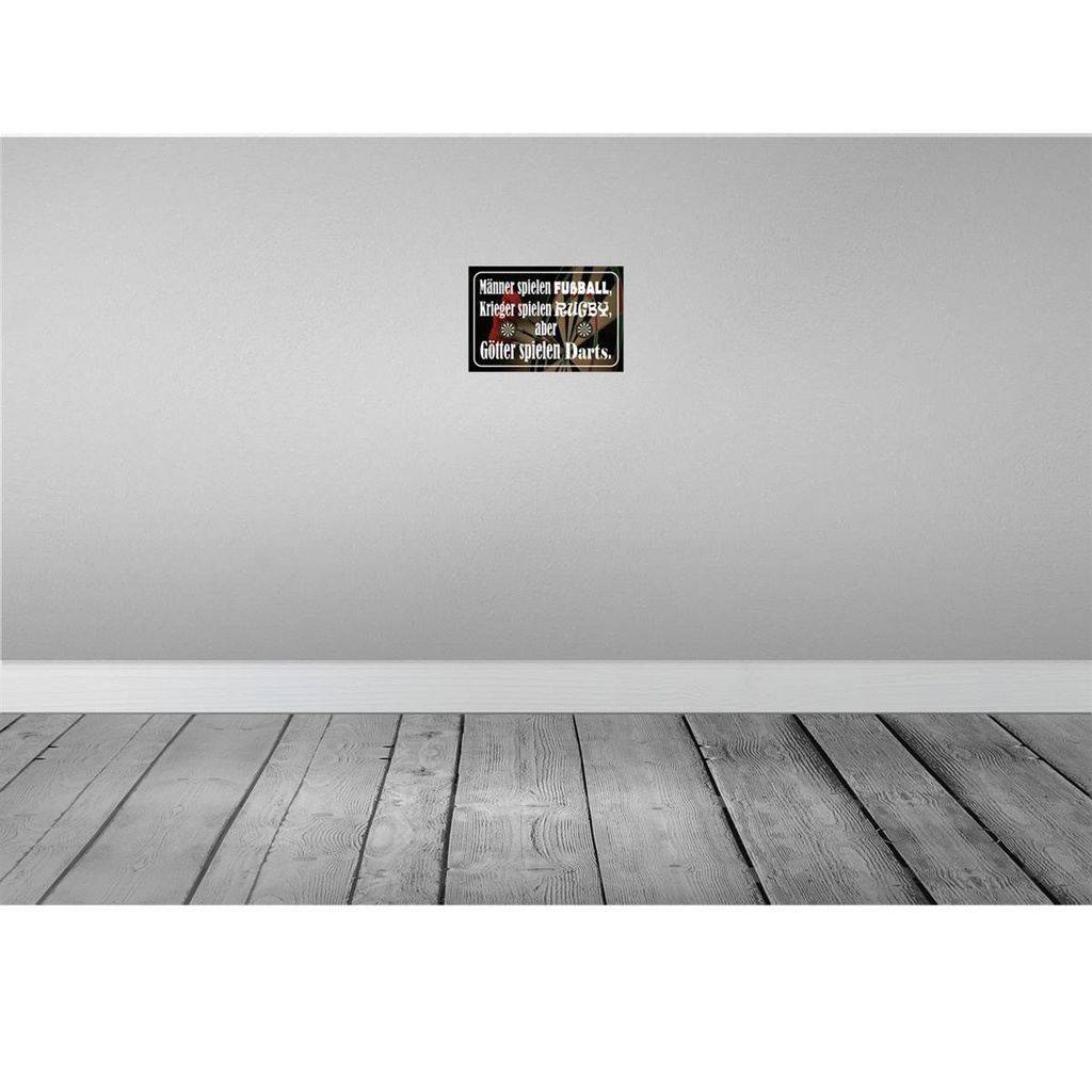 [LA-114506-2030] Blechschild 20x30 cm Männer Fußball aber Götter Darts Spruch Zitat Bild 2
