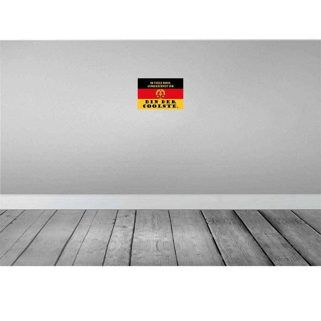 [LA-115131-2030] Blechschild 20x30 cm so viele Ossis bin der coolste Dekoration Spruch Zitat Bild 2