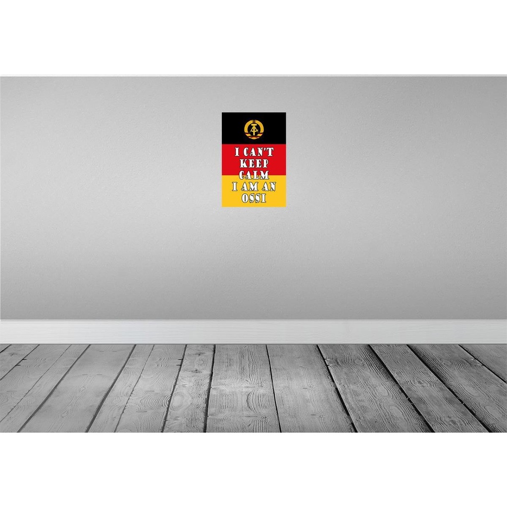 [LA-115133-H] Holzschild 30x20 cm i cant keep calm am an ossi Bild 2