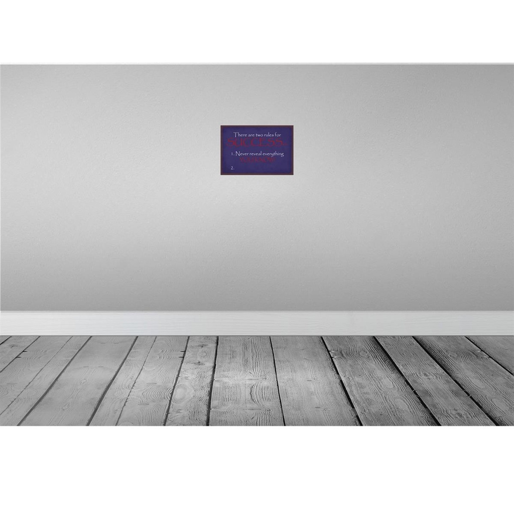 [LA-115140-2030] Blechschild 20x30 cm two rules for Success never Dekoration Bild 2