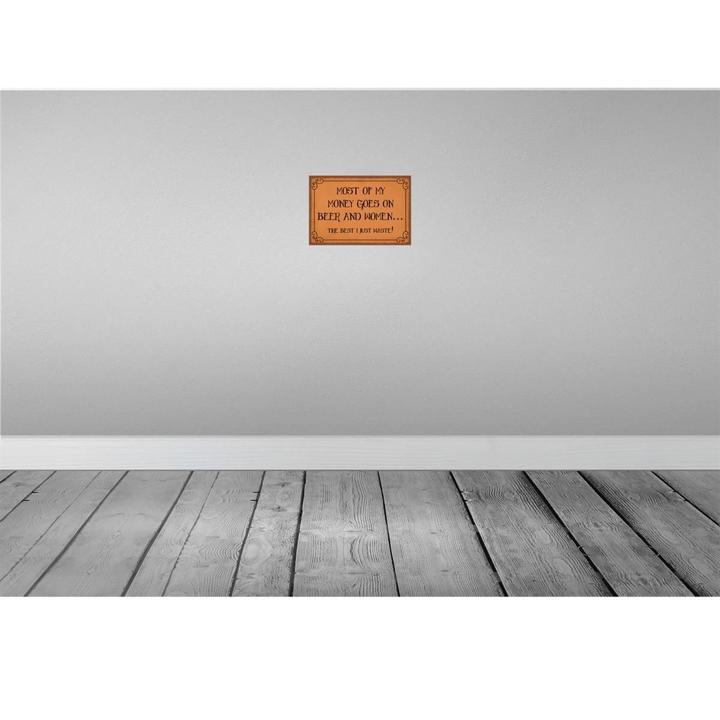 [LA-115147-2030] Blechschild 20x30 cm most of my money Beer and women Spruch Zitat Bild 2