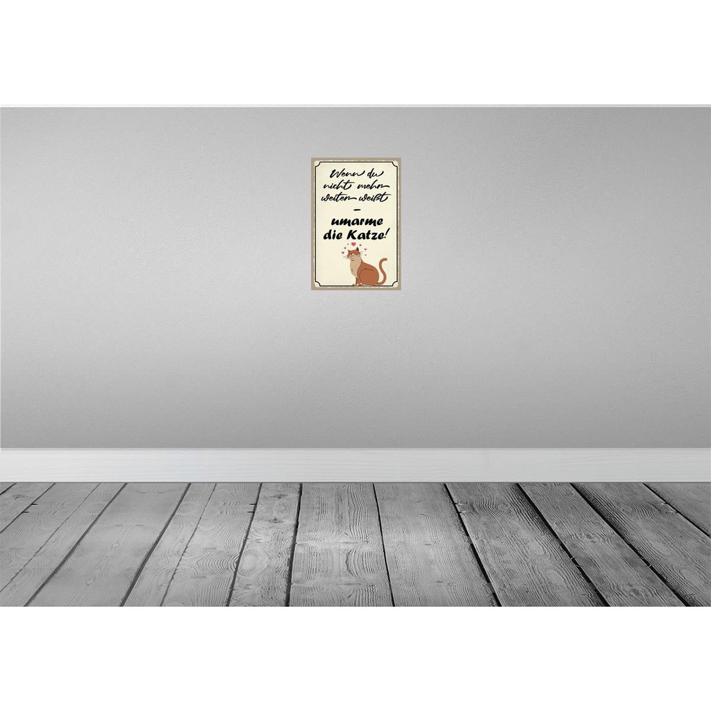 [LA-115243-2030] Blechschild 30x20 cm nicht weiter umarme die Katze Tier Haustier Bild 2