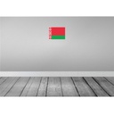 [LA-115296-2030] Blechschild 20x30 cm Weißrussland Belarus Flagge Fahne Wappen Bild 2