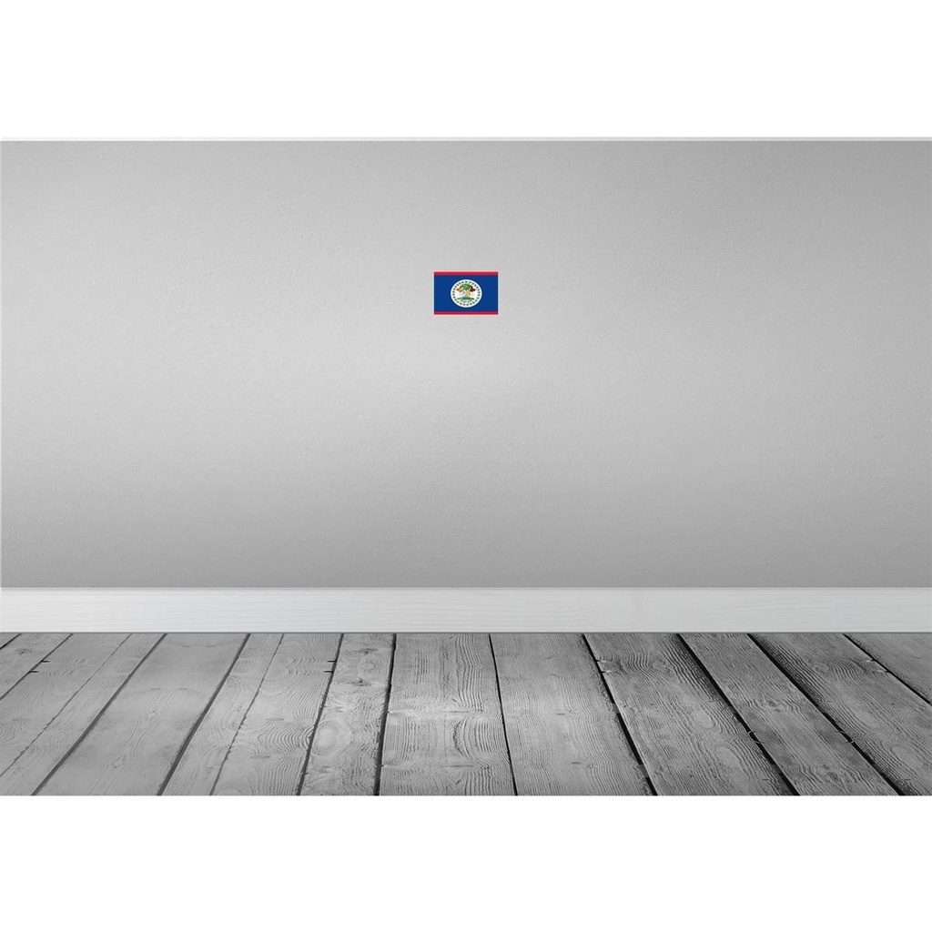 [LA-115298-1812-H] Holzschild 12x18 cm Belizes Belize Flagge Fahne Wappen Bild 2