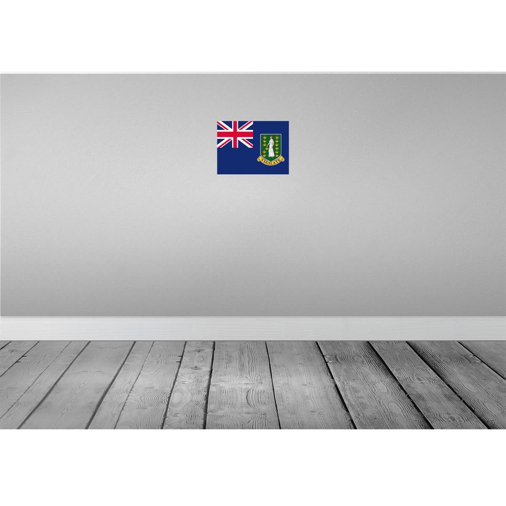 [LA-115306-2030] Blechschild 20x30 cm Britischen Jungferninseln Flagge Fahne Wappen Bild 2