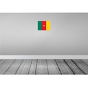 [LA-115312-2030] Blechschild 20x30 cm Kameruns Cameroon Flagge Fahne Wappen Bild 2