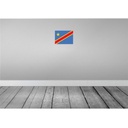 [LA-115331-2030] Blechschild 20x30 cm DR Kongo democratic Congo Flagge Fahne Wappen Bild 2
