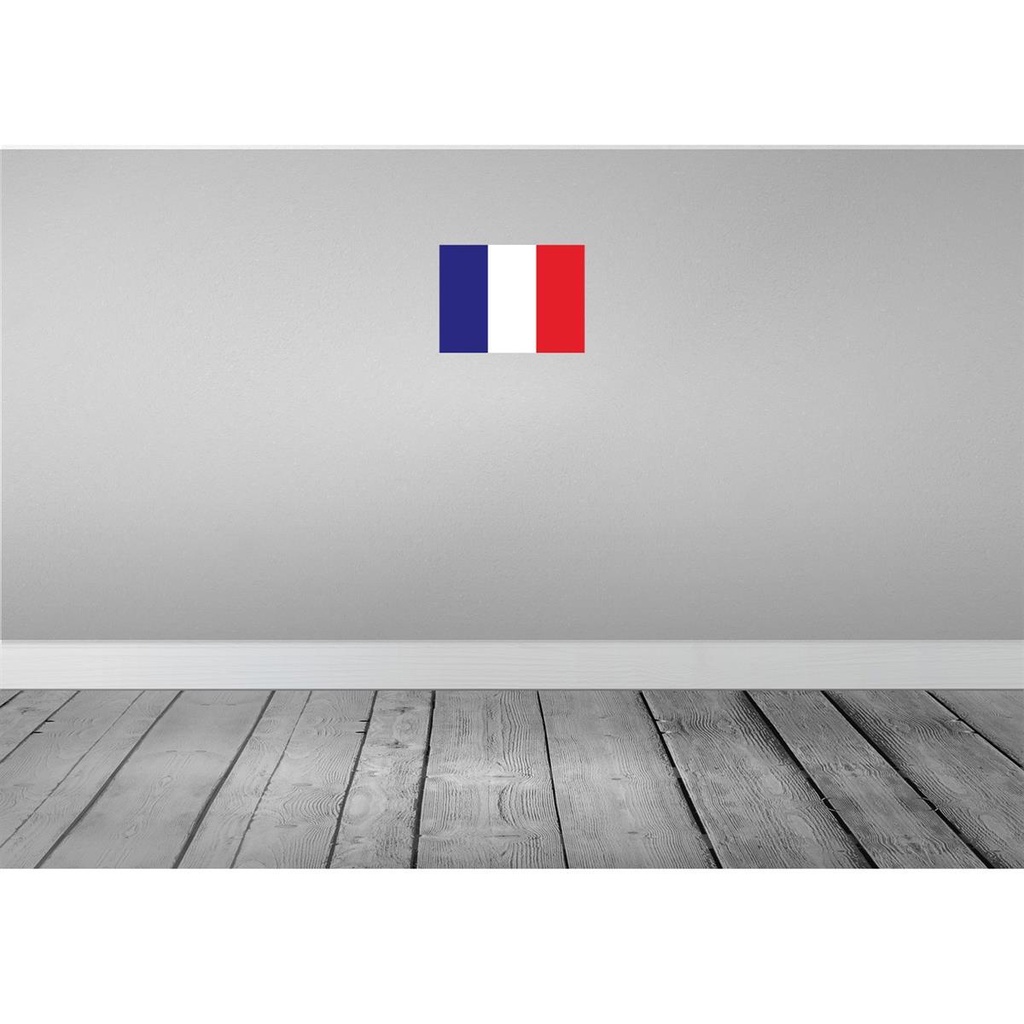 [LA-115349-2030] Blechschild 20x30 cm Frankreichs France Flagge Fahne Wappen Bild 2