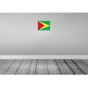 [LA-115365-2030] Blechschild 20x30 cm Guyanas Guyana Flagge Fahne Wappen Bild 2