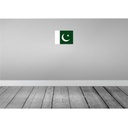 [LA-115434-2030] Blechschild 20x30 cm Pakistans Pakistan Flagge Fahne Wappen Bild 2