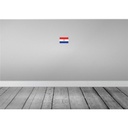 [LA-115438-1812] Blechschild 12x18 cm Paraguays Paraguay Flagge Fahne Wappen Bild 2
