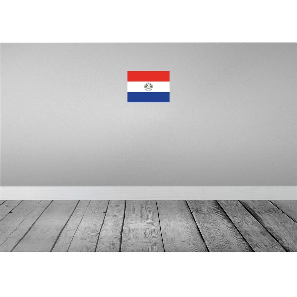 [LA-115438-H] Holzschild 20x30 cm Paraguays Paraguay Flagge Fahne Wappen Bild 2