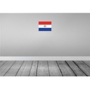 [LA-115438-H] Holzschild 20x30 cm Paraguays Paraguay Flagge Fahne Wappen Bild 2