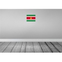 [LA-115471-H] Holzschild 20x30 cm Surinames Suriname Flagge Fahne Wappen Bild 2