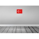 [LA-115487-2030] Blechschild 20x30 cm Türkei Turkey Flagge Fahne Wappen Bild 2