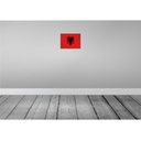 [LA-115508-2030] Blechschild 20x30 cm Albaniens Albania Flagge Fahne Wappen Bild 2