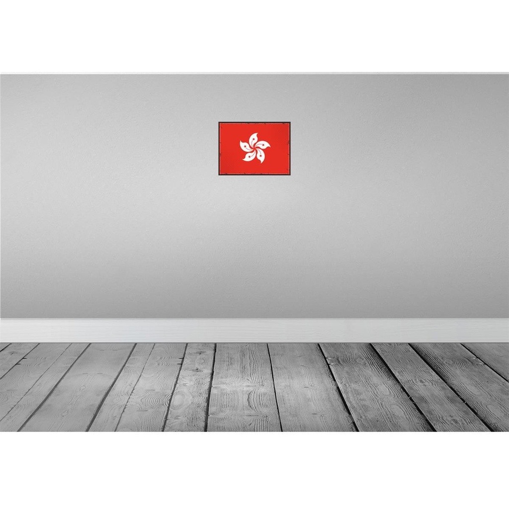 [LA-115597-2030] Blechschild 20x30 cm Hongkongs Hong Kong Flagge Fahne Wappen Bild 2
