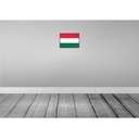 [LA-115598-H] Holzschild 20x30 cm Ungarns Hungary Flagge Fahne Wappen Bild 2