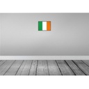 [LA-115604-2030] Blechschild 20x30 cm Irlands Ireland Flagge Fahne Wappen Bild 2