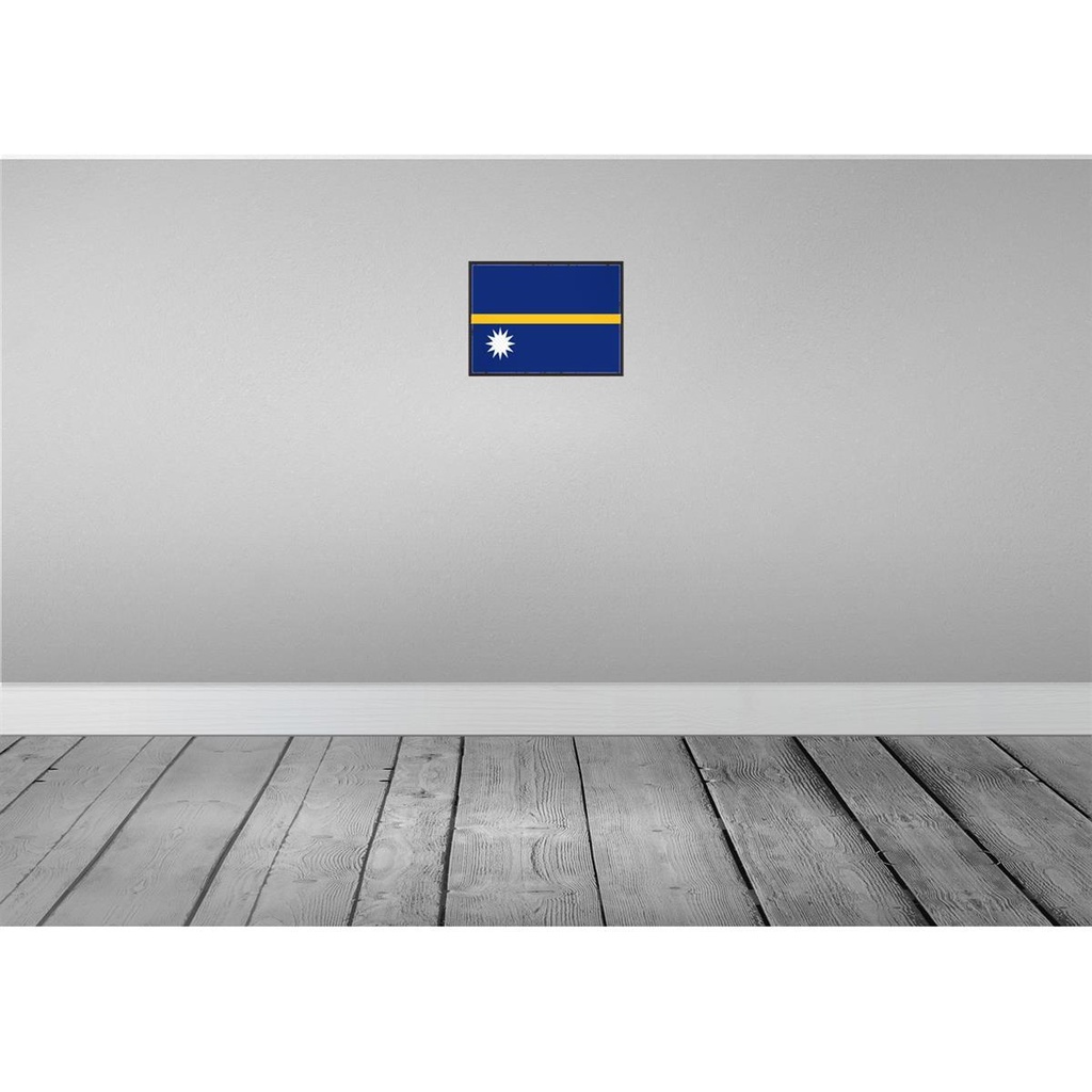 [LA-115647-2030] Blechschild 20x30 cm Naurus Nauru Flagge Fahne Wappen Bild 2