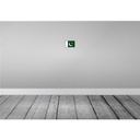 [LA-115662-1812] Blechschild 12x18 cm Pakistans Pakistan Flagge Fahne Wappen Bild 2