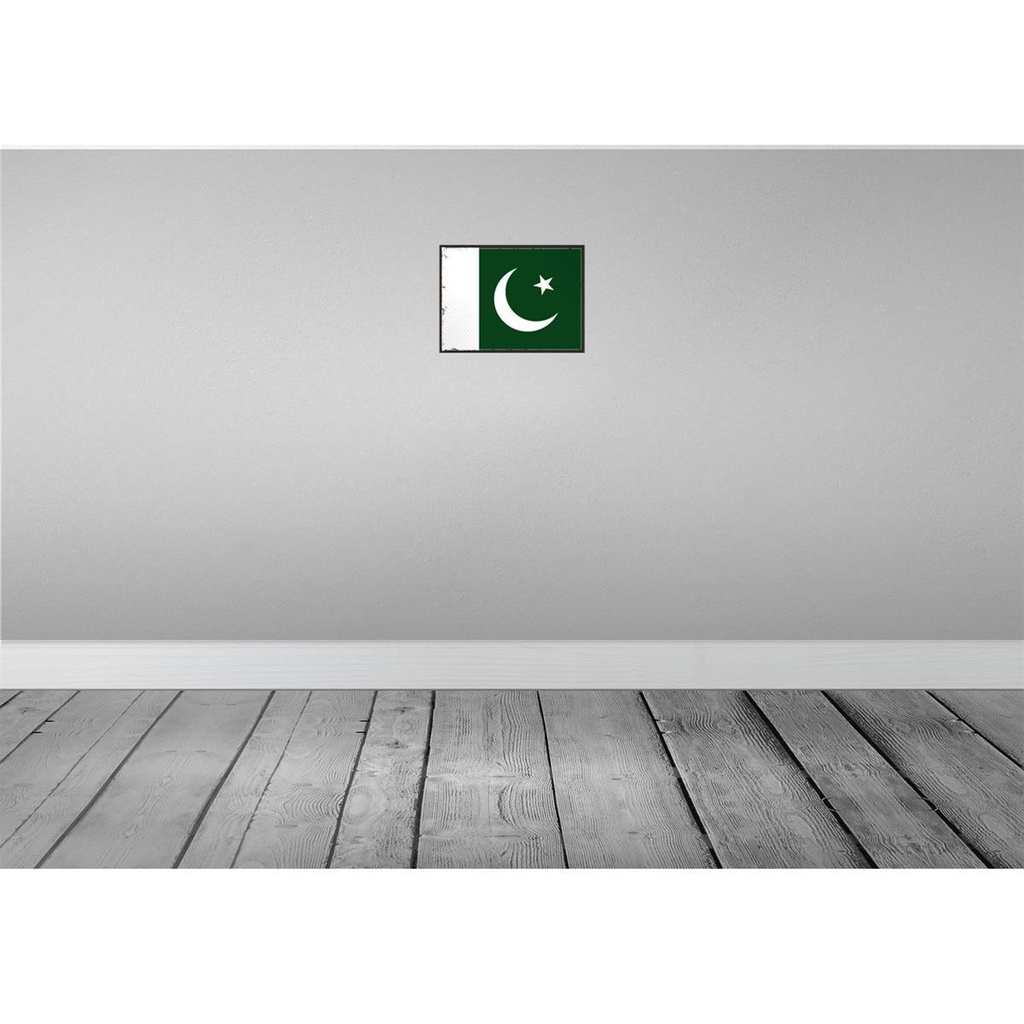 [LA-115662-2030] Blechschild 20x30 cm Pakistans Pakistan Flagge Fahne Wappen Bild 2