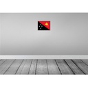 [LA-115665-H] Holzschild 20x30 cm Papua?Neuguinea New Guinea Flagge Fahne Wappen Bild 2
