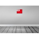 [LA-115712-2030] Blechschild 20x30 cm Tongas Tonga Flagge Fahne Wappen Bild 2