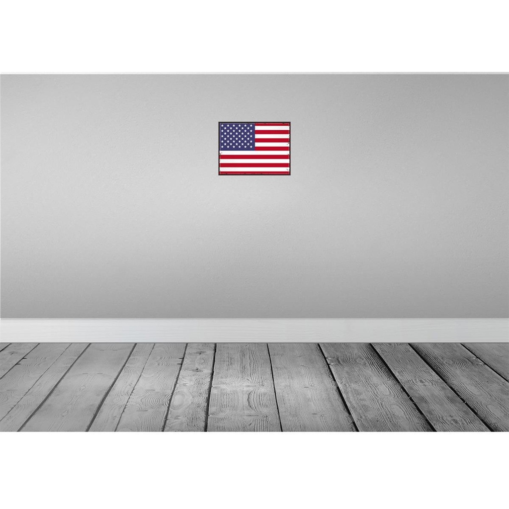 [LA-115723-2030] Blechschild 20x30 cm Vereinigte Staaten States Amerika USA Flagge Fahne Wappen Bild 2