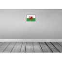 [LA-115729-2030] Blechschild 20x30 cm Wales Flagge Geburtstag Feiern Party Fahne Wappen Bild 2