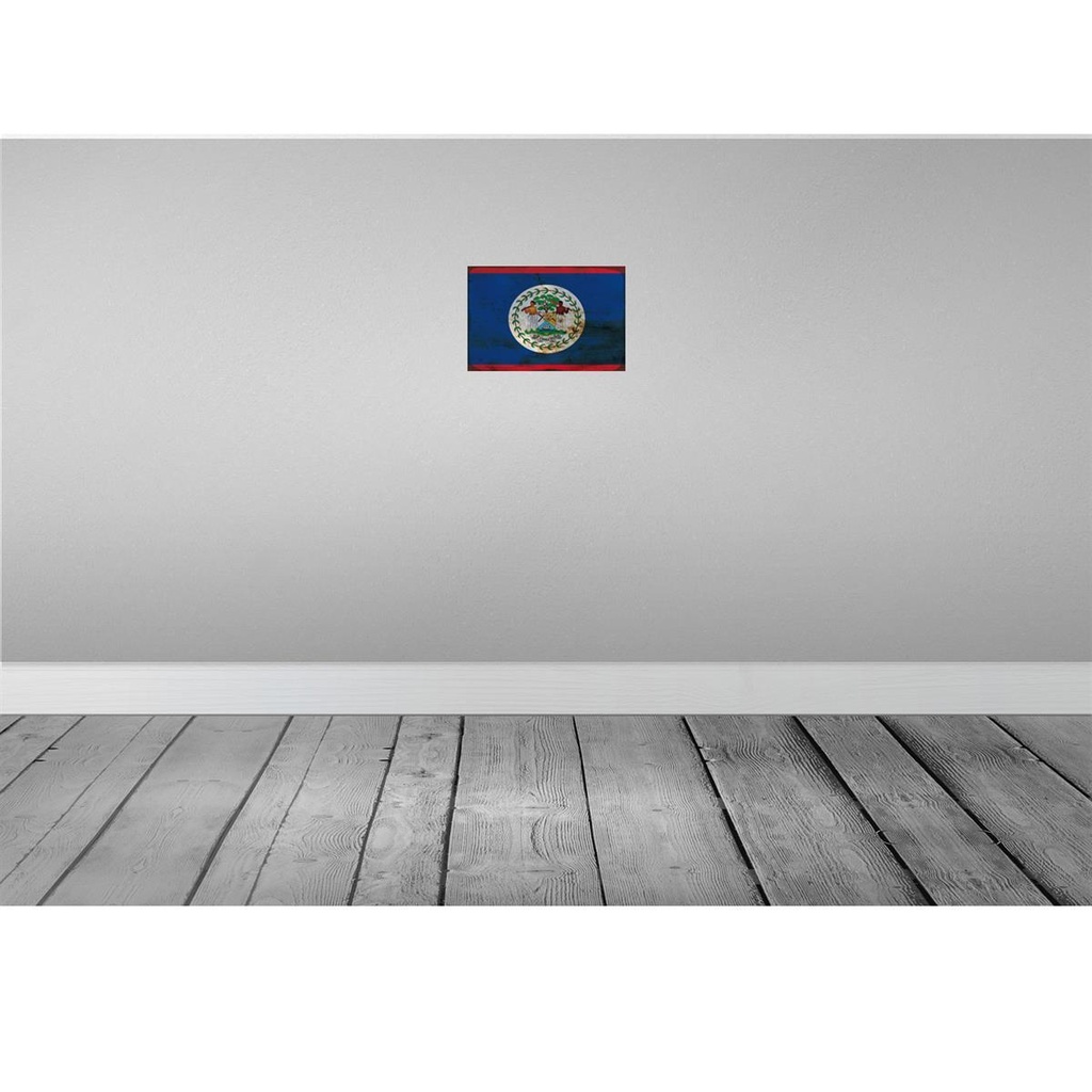 [LA-115754-2030] Blechschild 20x30 cm Belize Rost Flagge Fahne Wappen Bild 2