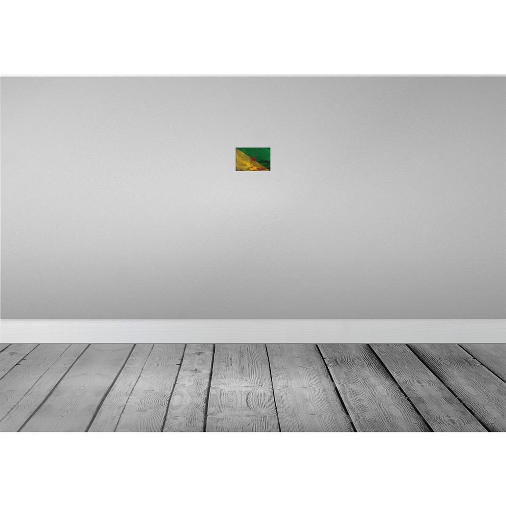 [LA-115806-1812] Blechschild 12x18 cm Französisch?Guayana Rost Flagge Fahne Wappen Bild 2