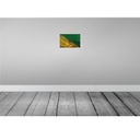 [LA-115806-2030] Blechschild 20x30 cm Französisch?Guayana Rost Flagge Fahne Wappen Bild 2