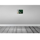 [LA-115890-2030] Blechschild 20x30 cm Pakistan Rost Flagge Fahne Wappen Bild 2
