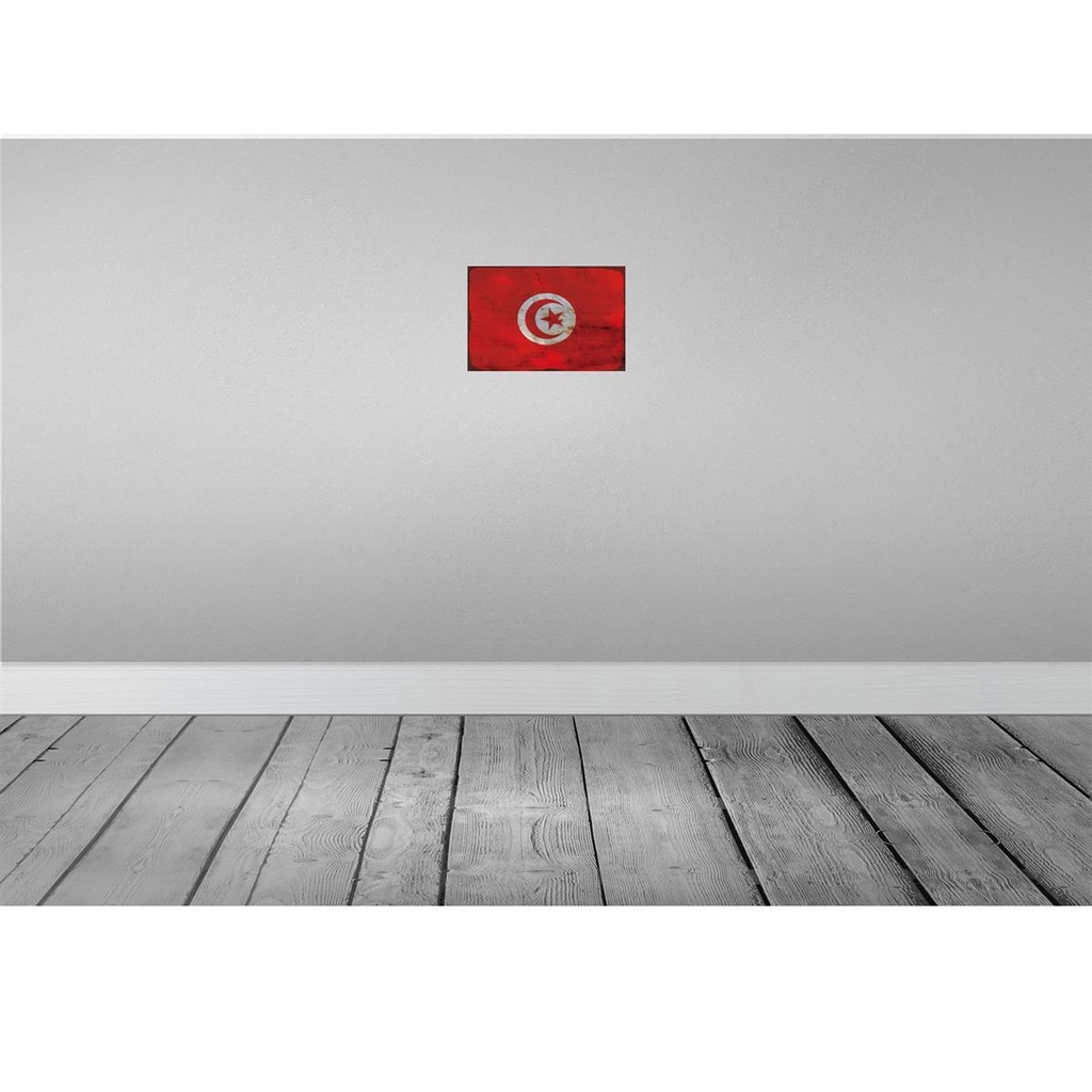 [LA-115942-2030] Blechschild 20x30 cm Tunesien Tunisia Rost Flagge Fahne Wappen Bild 2