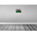 [LA-115957-2030] Blechschild 20x30 cm Wales Rost Flagge Fahne Wappen Bild 2