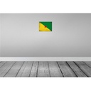 [LA-116071-2030] Blechschild 20x30 cm Französisch?Guayana Vintage Flagge Fahne Wappen Bild 2