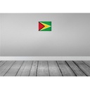 [LA-116086-H] Holzschild 20x30 cm Guyana Vintage Flagge Fahne Wappen Bild 2