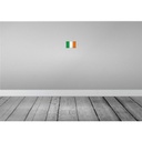 [LA-116097-1812-H] Holzschild 12x18 cm Irland Ireland Vintage Flagge Fahne Wappen Bild 2