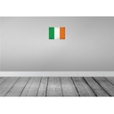 [LA-116097-2030] Blechschild 20x30 cm Irland Ireland Vintage Flagge Fahne Wappen Bild 2