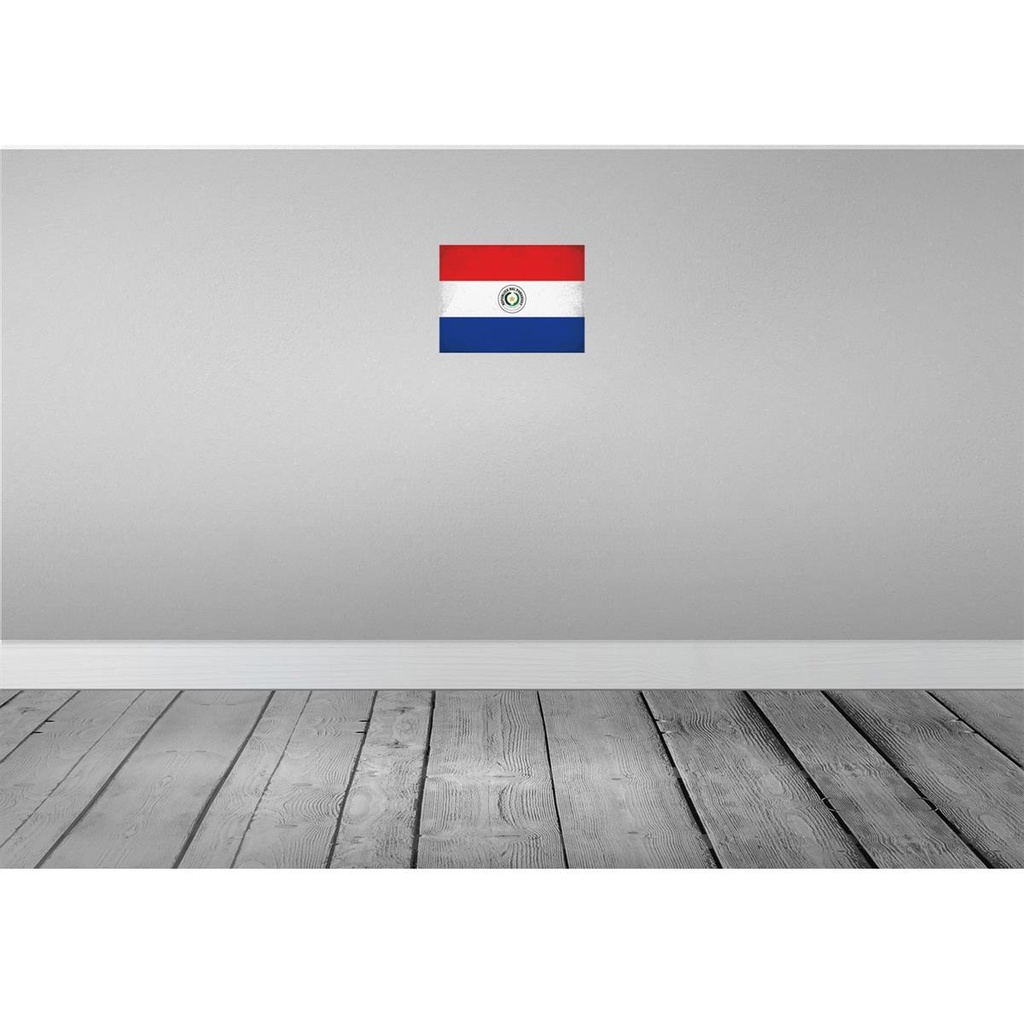 [LA-116159-2030] Blechschild 20x30 cm Paraguay Vintage Flagge Fahne Wappen Bild 2