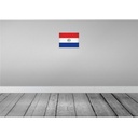 [LA-116159-2030] Blechschild 20x30 cm Paraguay Vintage Flagge Fahne Wappen Bild 2