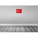 [LA-116208-2030] Blechschild 20x30 cm Türkei Turkey Vintage Flagge Fahne Wappen Bild 2