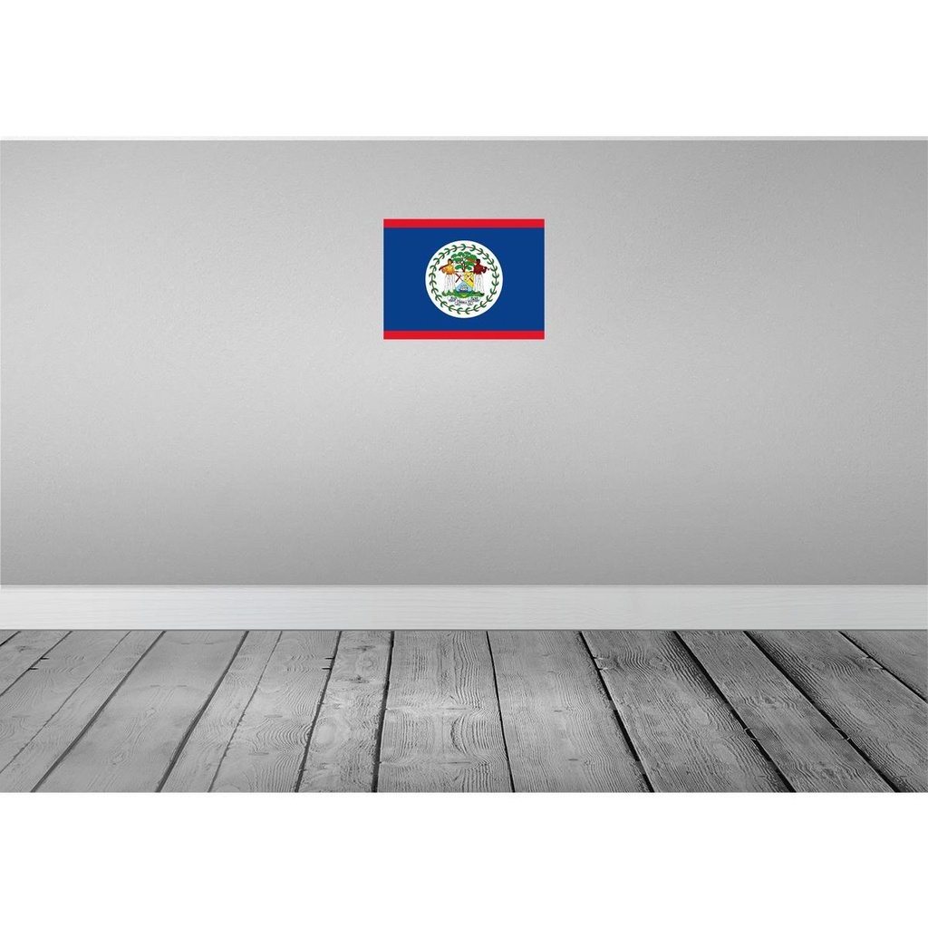 [LA-119364] Blechschild 30x40 cm Belizes Belize Flagge Fahne Wappen Bild 2