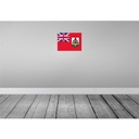 [LA-119366-H] Holzschild 30x40 cm Bermudas Bermuda Flagge Fahne Wappen Bild 2
