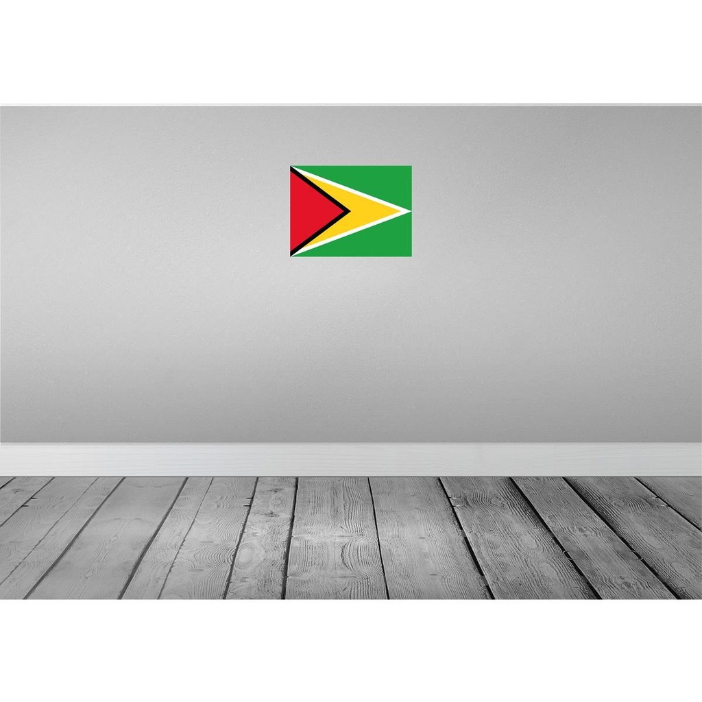 [LA-119431] Blechschild 30x40 cm Guyanas Guyana Flagge Fahne Wappen Bild 2