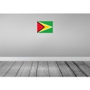[LA-119431-H] Holzschild 30x40 cm Guyanas Guyana Flagge Fahne Wappen Bild 2
