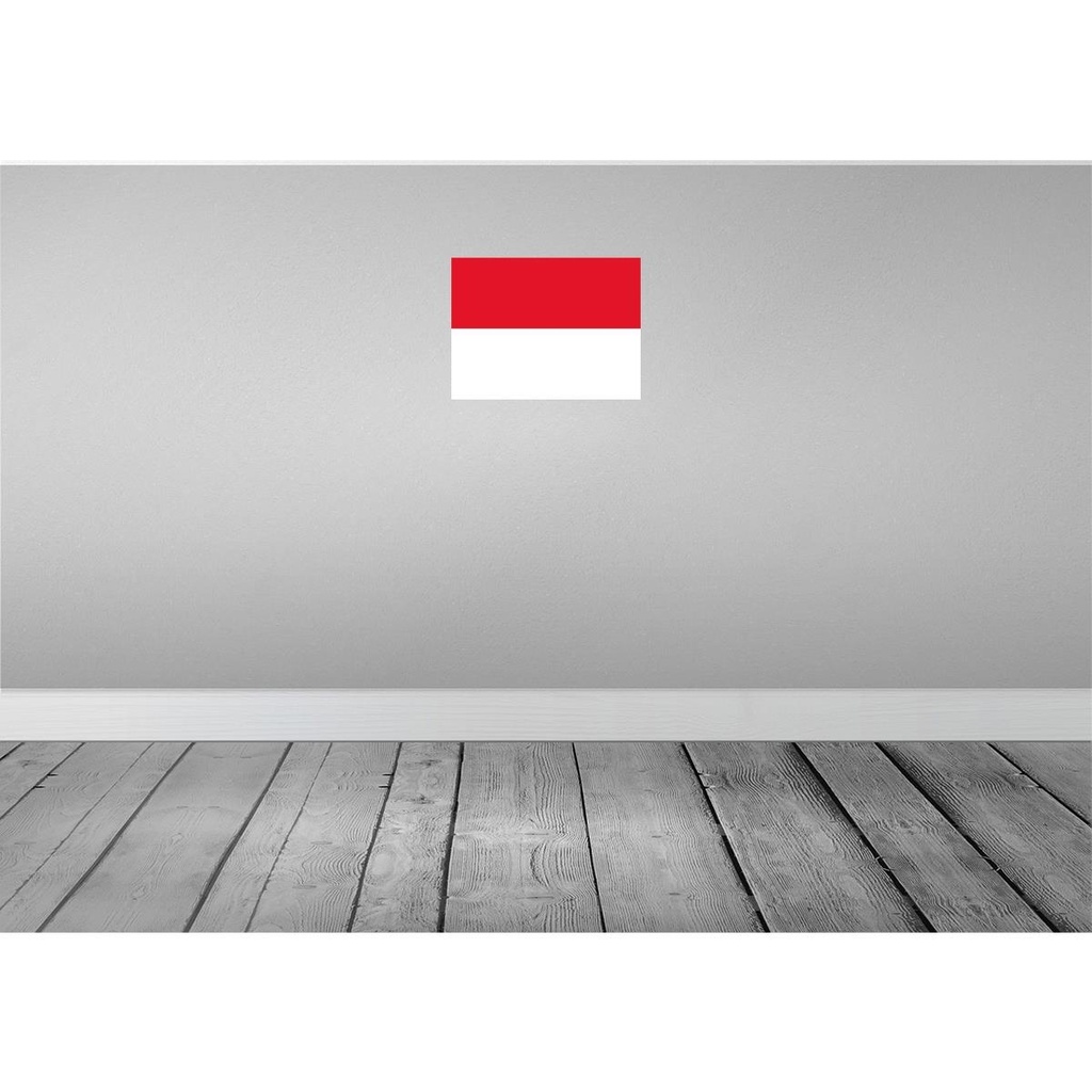[LA-119478] Blechschild 30x40 cm Monacos Monaco Flagge Fahne Wappen Bild 2