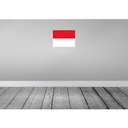 [LA-119478] Blechschild 30x40 cm Monacos Monaco Flagge Fahne Wappen Bild 2