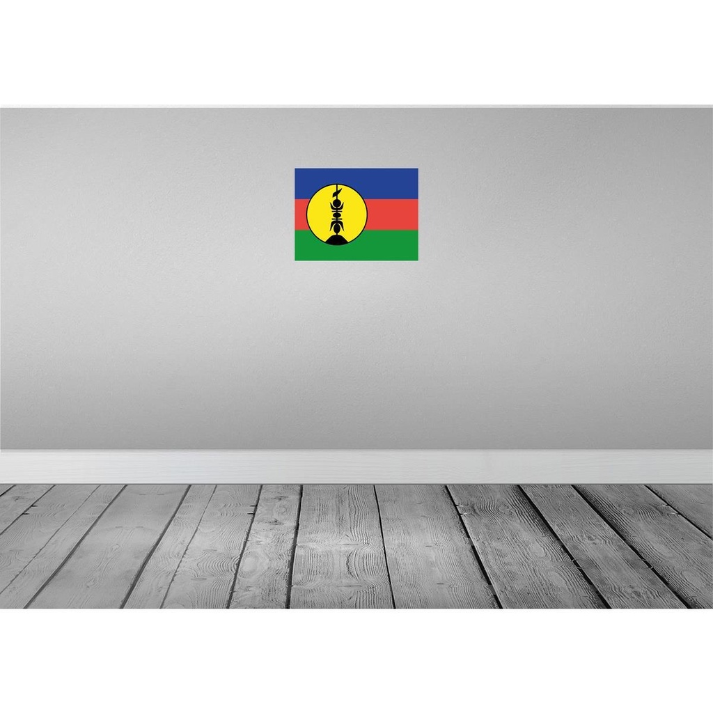 [LA-119488] Blechschild 30x40 cm Neukaledonien New Caledonia Flagge Fahne Wappen Bild 2